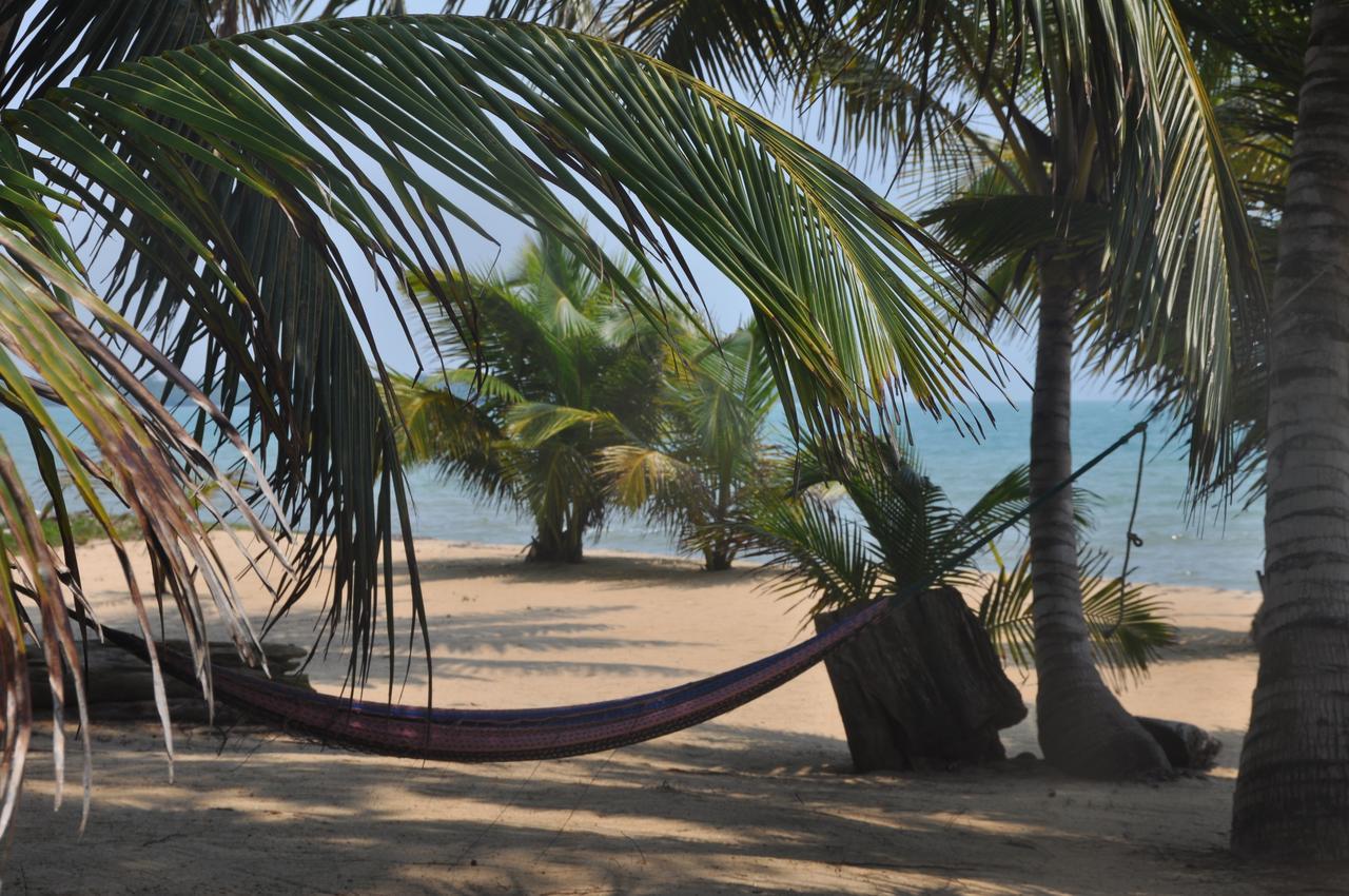Sabal Beach Monkey River Town Exterior foto