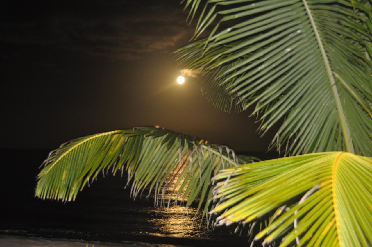 Sabal Beach Monkey River Town Exterior foto