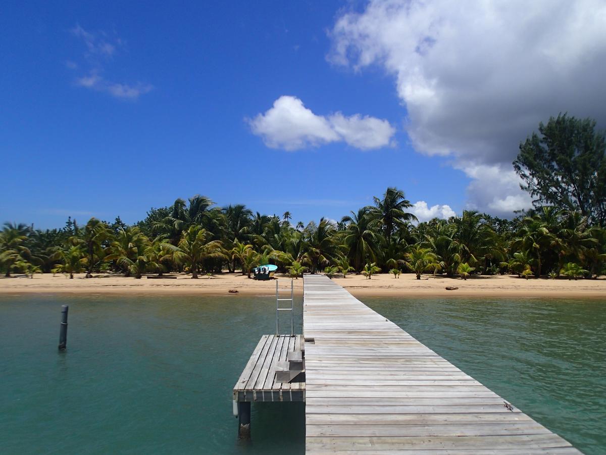 Sabal Beach Monkey River Town Exterior foto