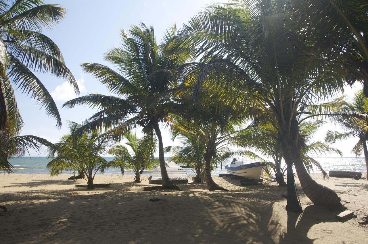 Sabal Beach Monkey River Town Exterior foto